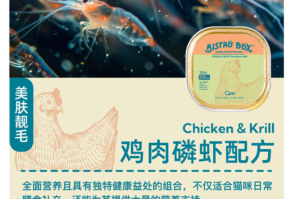 OPET Bistro Box (40g * 6 boxes mixed flavors) opet