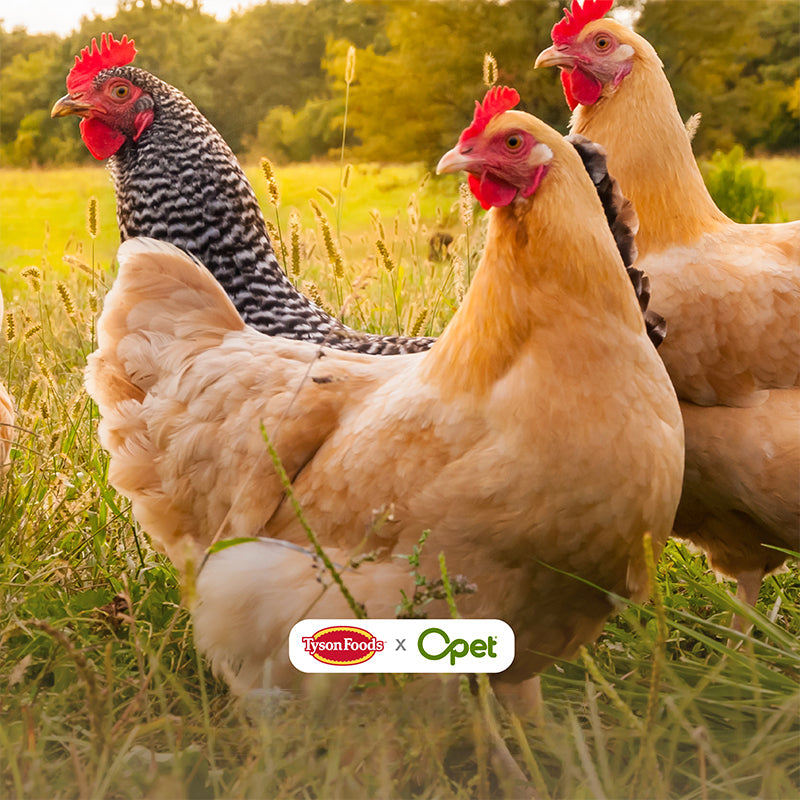 Freeze-Dried|Thick-Cut Chicken Breast (60g/pack) opet